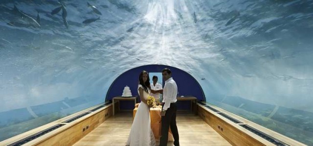 romance undersea