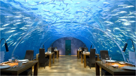 Ithaa Underwater Restaurant