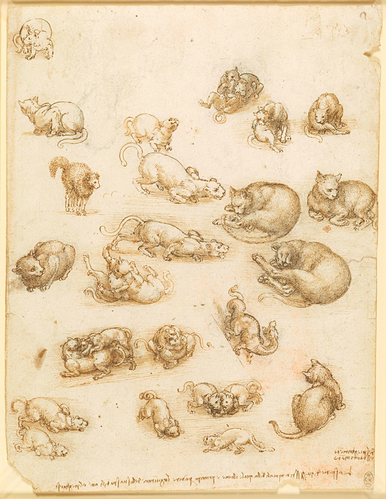 Leonardo da Vinci drawings to Go on UK Tour