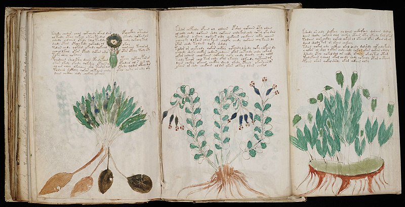 The Mystery of the Voynich Manuscript